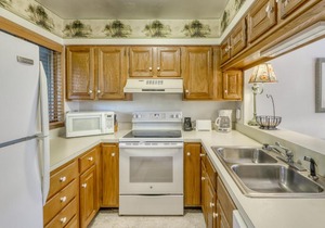 Windswept Woodlands 4338