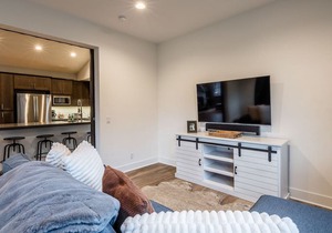 Winter Availability! Welcoming, Modern Condo with Three Bedrooms plus a Flex Bonus Room