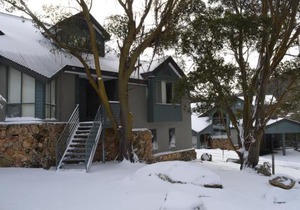 Wintergreen 10