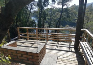 Wonderful rustic cabin 2, with native logs, on the banks of the Trancura River