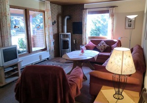 Wooden bungalow with oven, in Oberharz near a lake