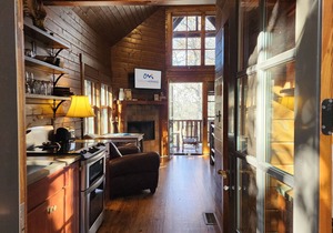 Wren’s Den | Cozy Cabin w/Fireplace + Jetted Tub + Biltmore Pass