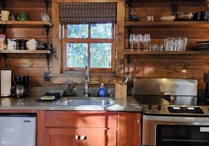 Wren’s Den | Cozy Cabin w/Fireplace + Jetted Tub + Biltmore Pass