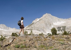 Yosemite Hilltop Cabins, Lupin Cabin,15 min to the Valley floor, Wifi