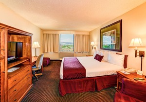 You Found it! Colorado Getaway! Indoor Pool, Hot-Tub, Family and Pet-Friendly!