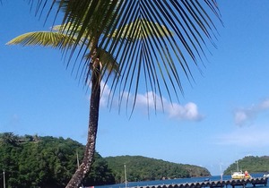 Your Beautiful Holidays in the Tropics of Martinique
