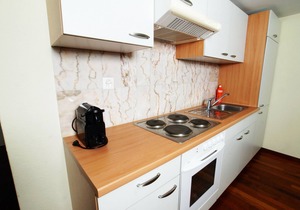 ZH Limmat 5 - HITrental Apartment