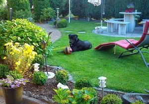 Zimmer Schmitz