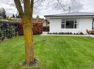 Albert Town | Wanaka