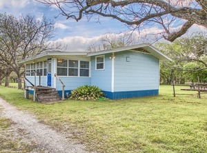 Bluebonnet | New Braunfels