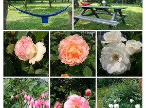 Shower Toilet | Tumlauer Koog