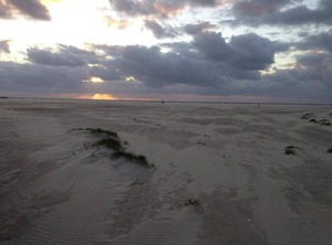 Shower Toilet | Tumlauer Koog