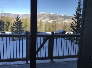 Silverthorne | Wildernest