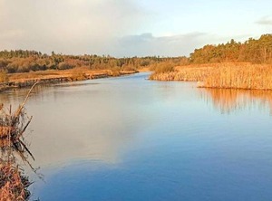 Person Holiday F Rvang | Farvang