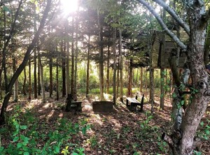 Person Holiday F Rvang | Farvang