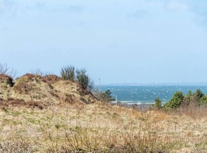 Holiday Trend | Trend