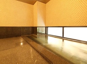 Hotel Yukuhashi | Yukuhashi