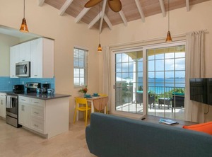 Allamanda At Seagrape Vista St John | Estate Enighed