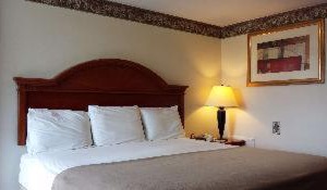 Americas Value Inn | Campbelltown