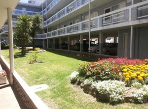 Spiaggia Brava | Aidy Grill