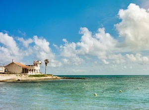 Fragata | Torrevieja