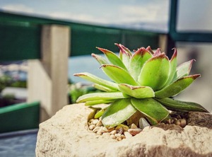 Apartmani Ada | Povlja