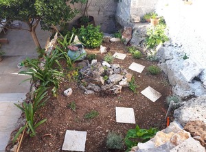 Apartmani Ada | Povlja