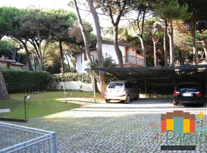 Pinewood | Rosolina Mare