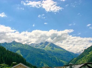 Birke | Bad Gastein