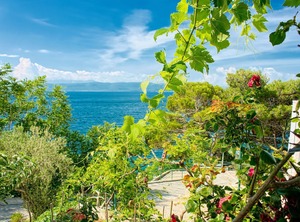Ferienwohnungen Gojko The Beach Riviera Makarska | Zivogosce