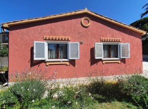 Tigra | Rovinj