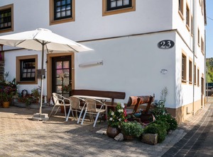 Merschbach The Forest | Merschbach