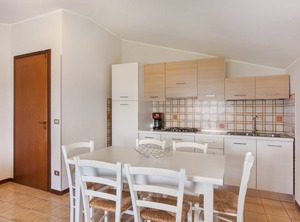 Rosa Noisette | Vanon