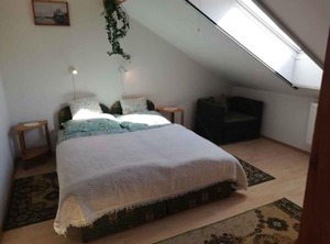 Zalakaros | Zalakaros