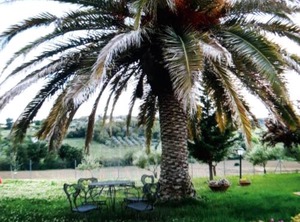 Fontebella | Montemarciano