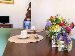 Collesalvetti Garden | Collesalvetti