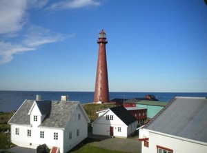 Andenes Safari | Andenes