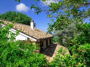 Barba Gianni | Bettolelle