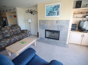 Beach Shorebirds | Pajaro Dunes