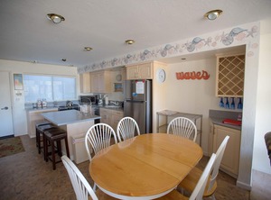 Beach Shorebirds | Pajaro Dunes