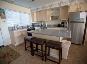 Beach Shorebirds | Pajaro Dunes