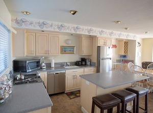 Beach Shorebirds | Pajaro Dunes