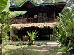 Punta Uva | Punta Uva