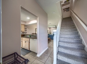 The Iron Cactus Cw | New Braunfels