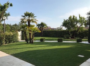 Isola Albarella | Rosolina