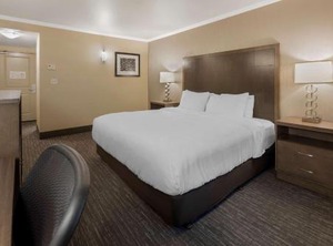 Chena River Lodge | College