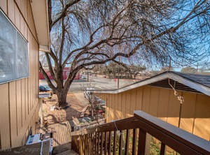 Binky Nest | Fredericksburg