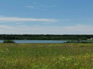 Water Cottage | West Covehead