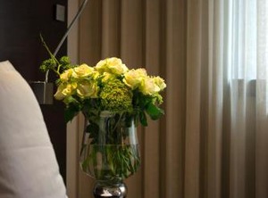 Hotel | Kosancicev Venac