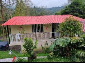 Cabaña Caminos | San Francisco